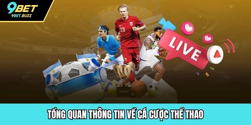 Tổng quan thông tin về cá cược thể thao
